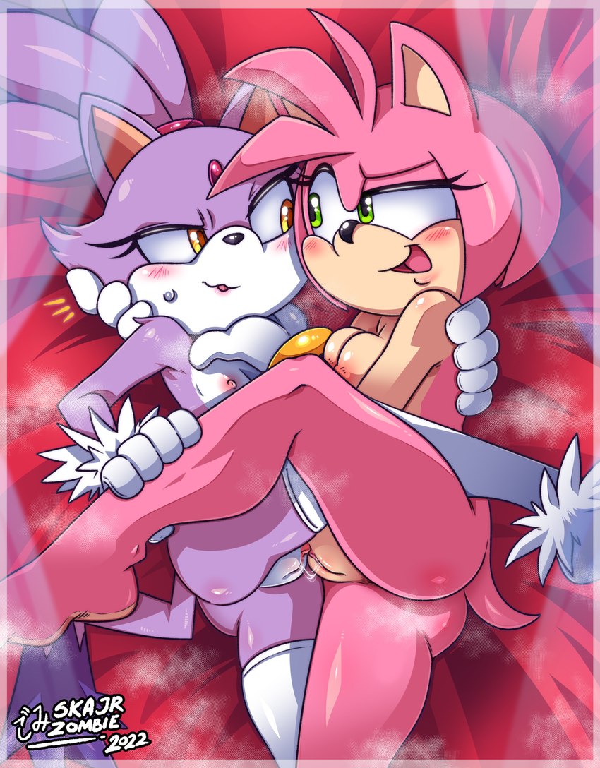 Amy Rose Porn Flat Chest - Amy Rose And Blaze The Cat (sonic The Hedgehog (series) And Etc) Created By  Skajrzombie | Yiff-party.com